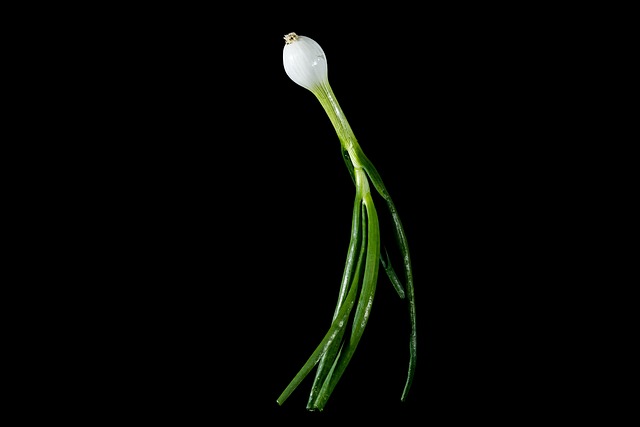 Snyd ikke dig selv for forårsløg: Plantning og pleje gjort let